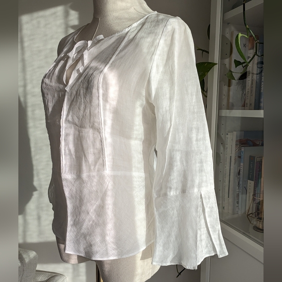 Ramie Linen Sheer Blouse - Picture 6 of 8